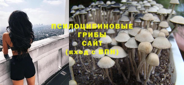 ПСИЛОЦИБИНОВЫЕ ГРИБЫ Абинск