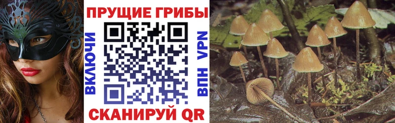 Галлюциногенные грибы Magic Shrooms  hydra рабочий сайт  Вытегра 